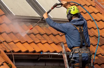 Démoussage et hydrofuge de toiture à Esmoulins